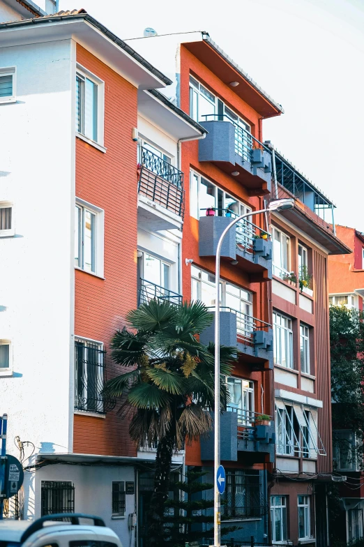 apartment buildings lined with palm trees on the sidewalk