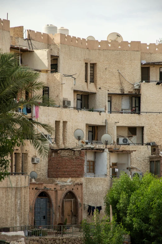 the facade of a building with a palm tree in front of it