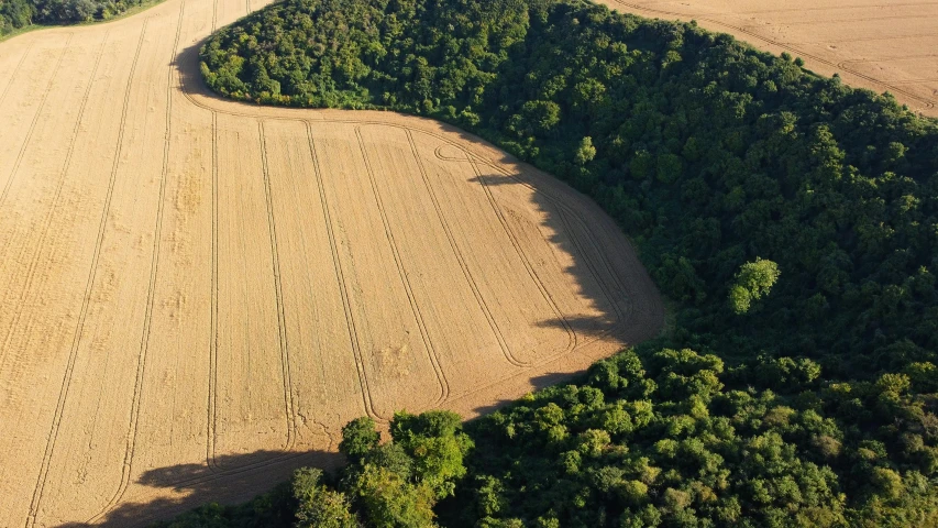 a large field with an old tractor in it