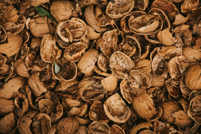 an overripe pile of freshly cut nut shells