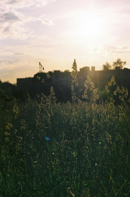 the sky is blue and cloudy over a green grassy field