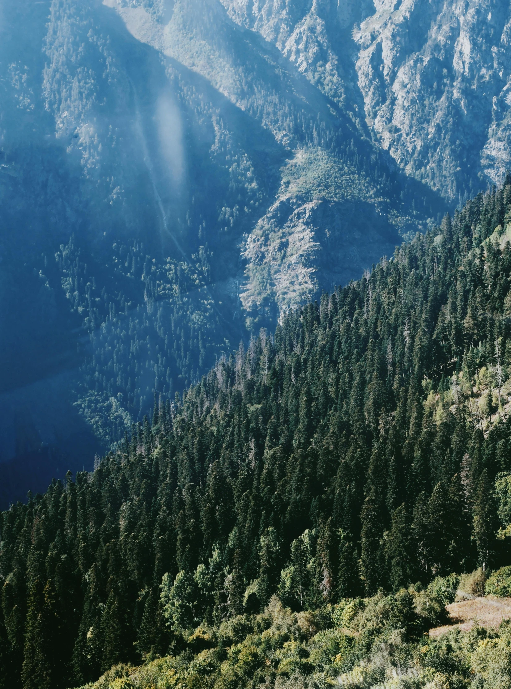 the view from above the mountains shows the top of the trees