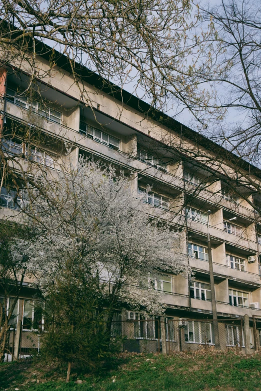 a very tall building with some windows under a big tree