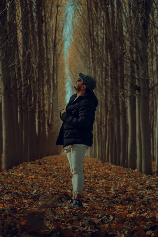 a person standing in the middle of a forest with leaves