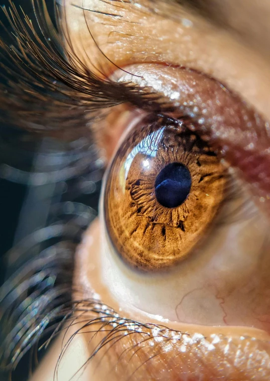 a close up of a human eye with brown iris