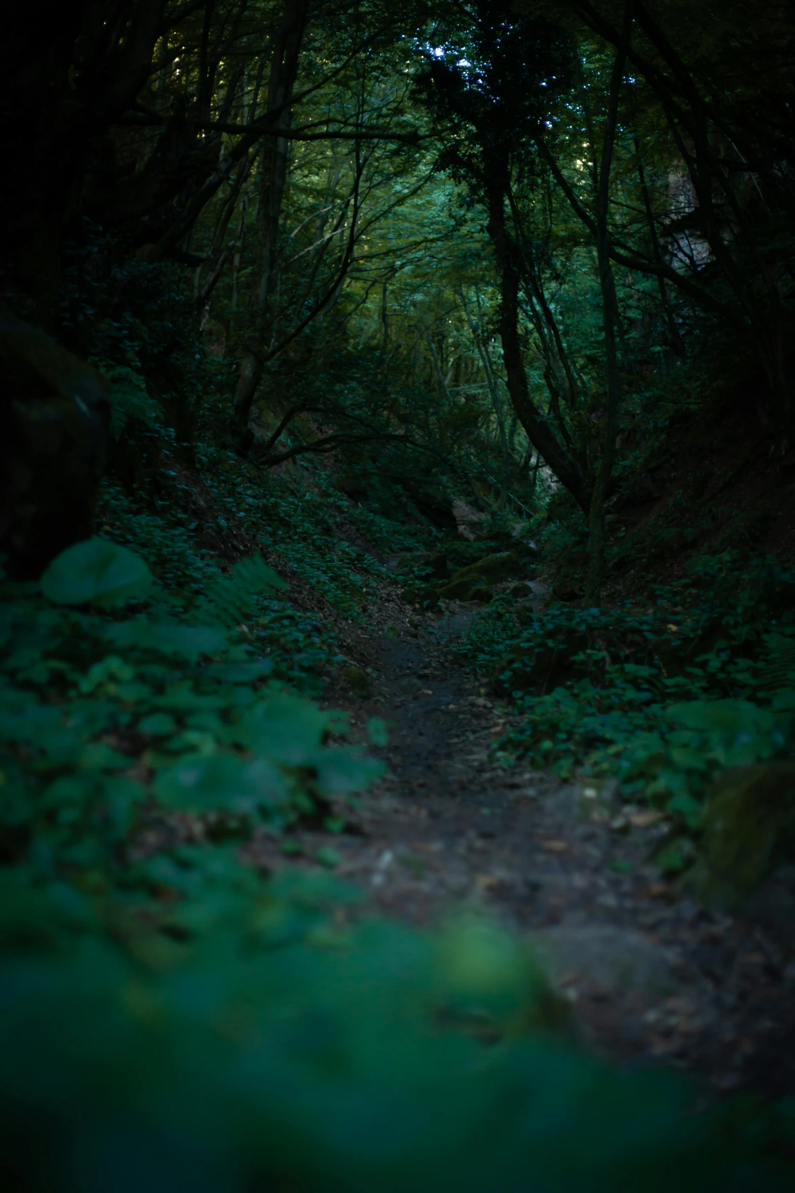 an image of an outdoor scene at night time