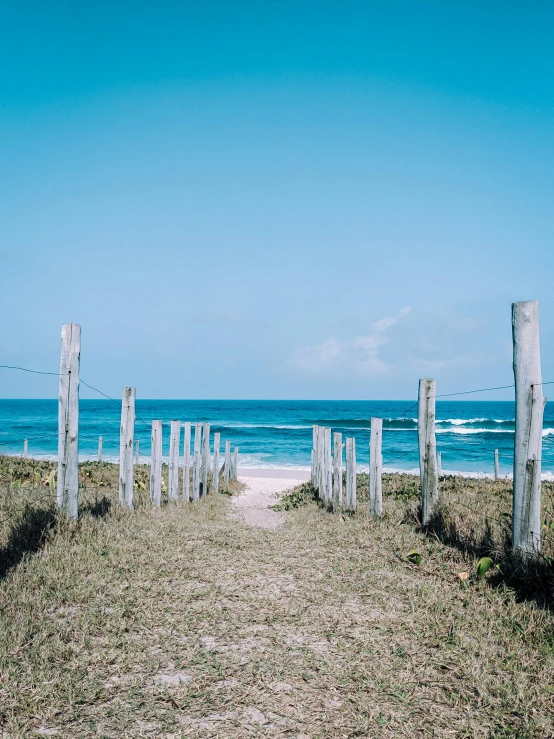 some old fence posts along the beach