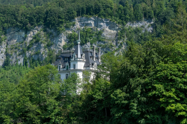 a castle perched on top of a large rock in the forest