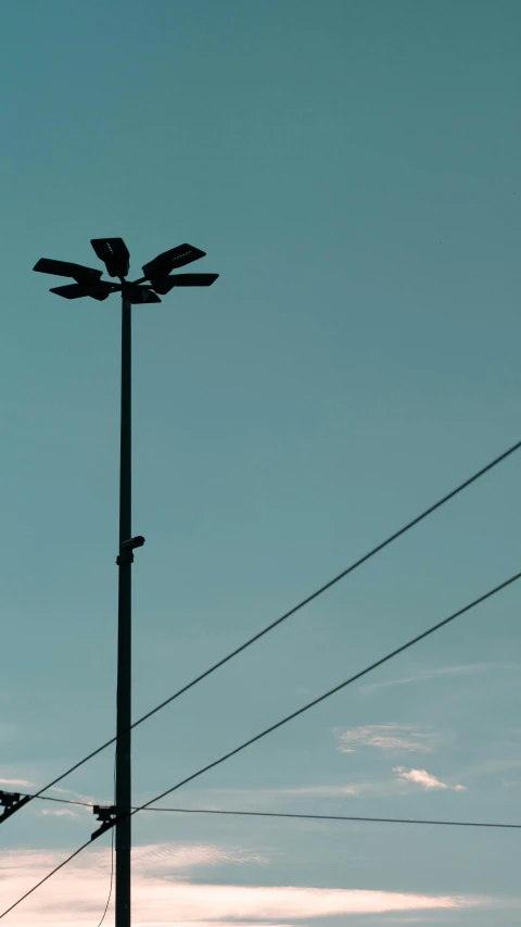 silhouette of two birds standing on the back of power lines