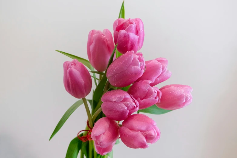 this is a bouquet of pink flowers in a vase