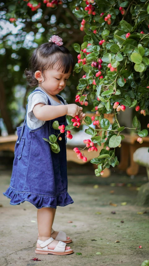 young child picking berries off tree in backyard