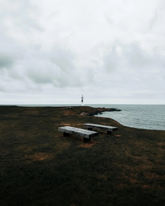 four benches by the shore looking out at the water