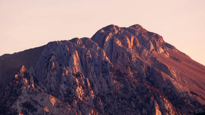 the top of a mountain with a bird sitting on it