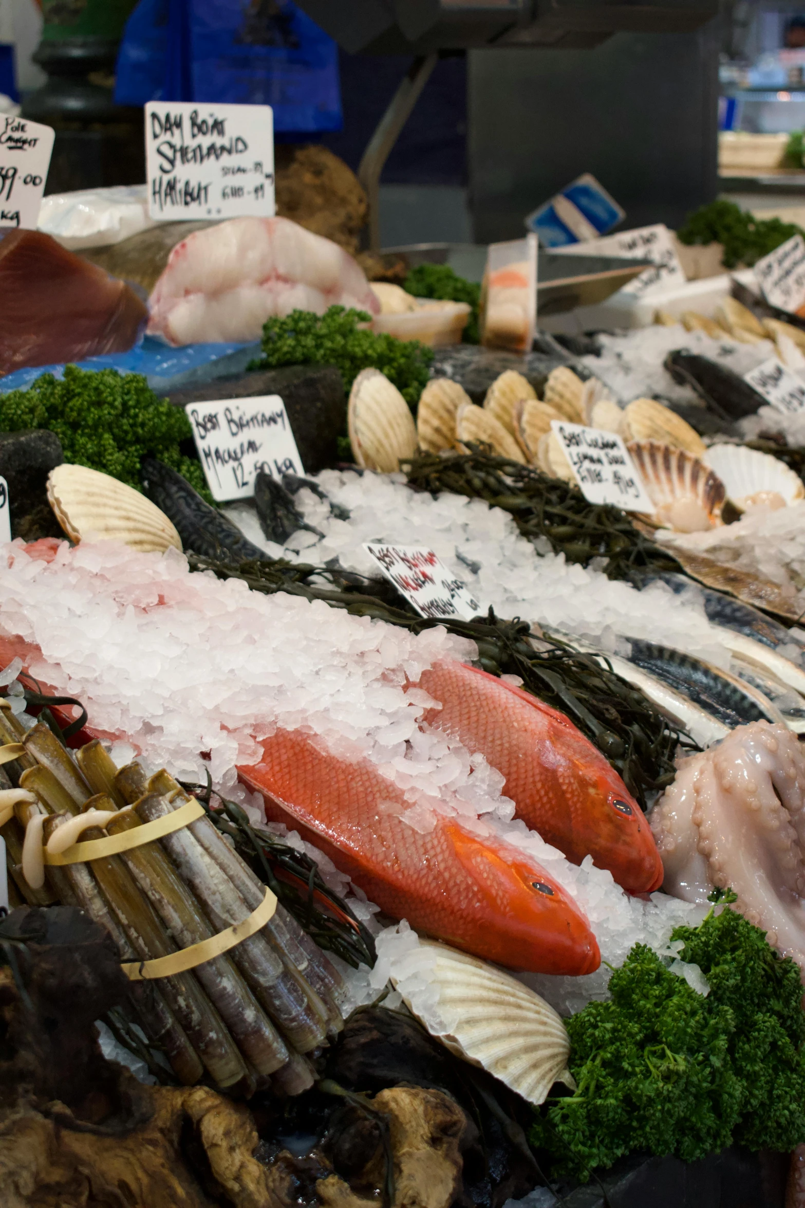 assortment of seafood items displayed in large display case