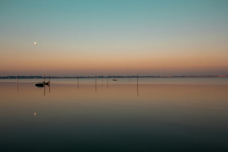 a body of water surrounded by trees and some docks