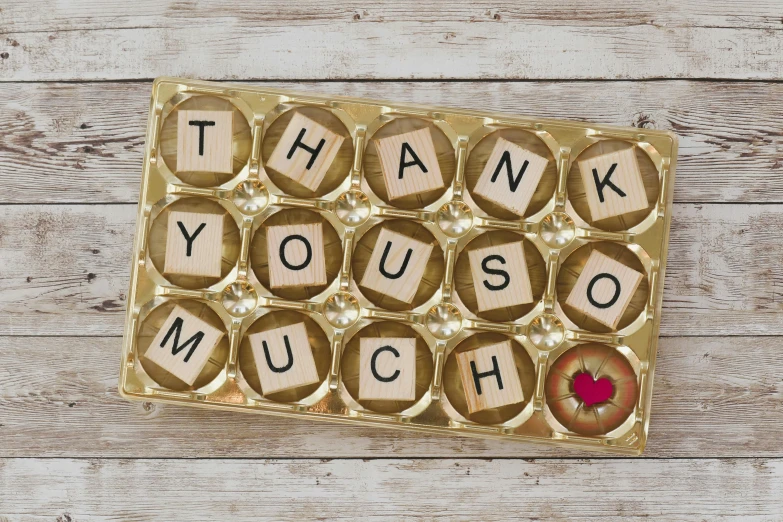 word written on blocks in a game called thank you so much