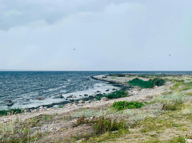 an ocean that has some birds flying by the shore