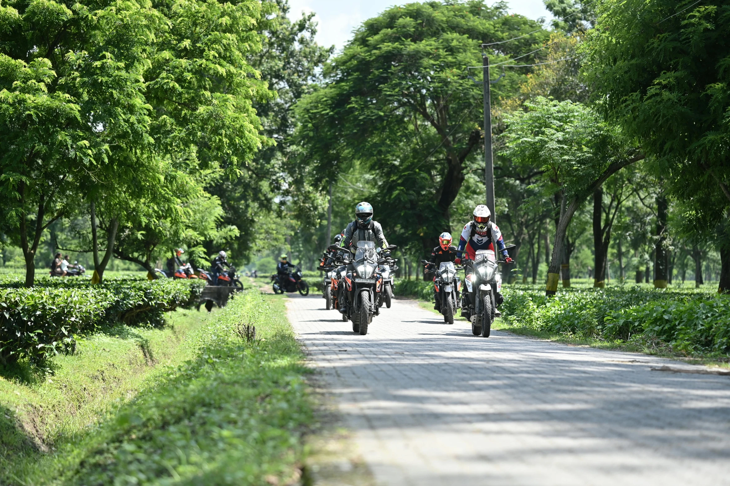 motorcycles riding on a long country road surrounded by trees