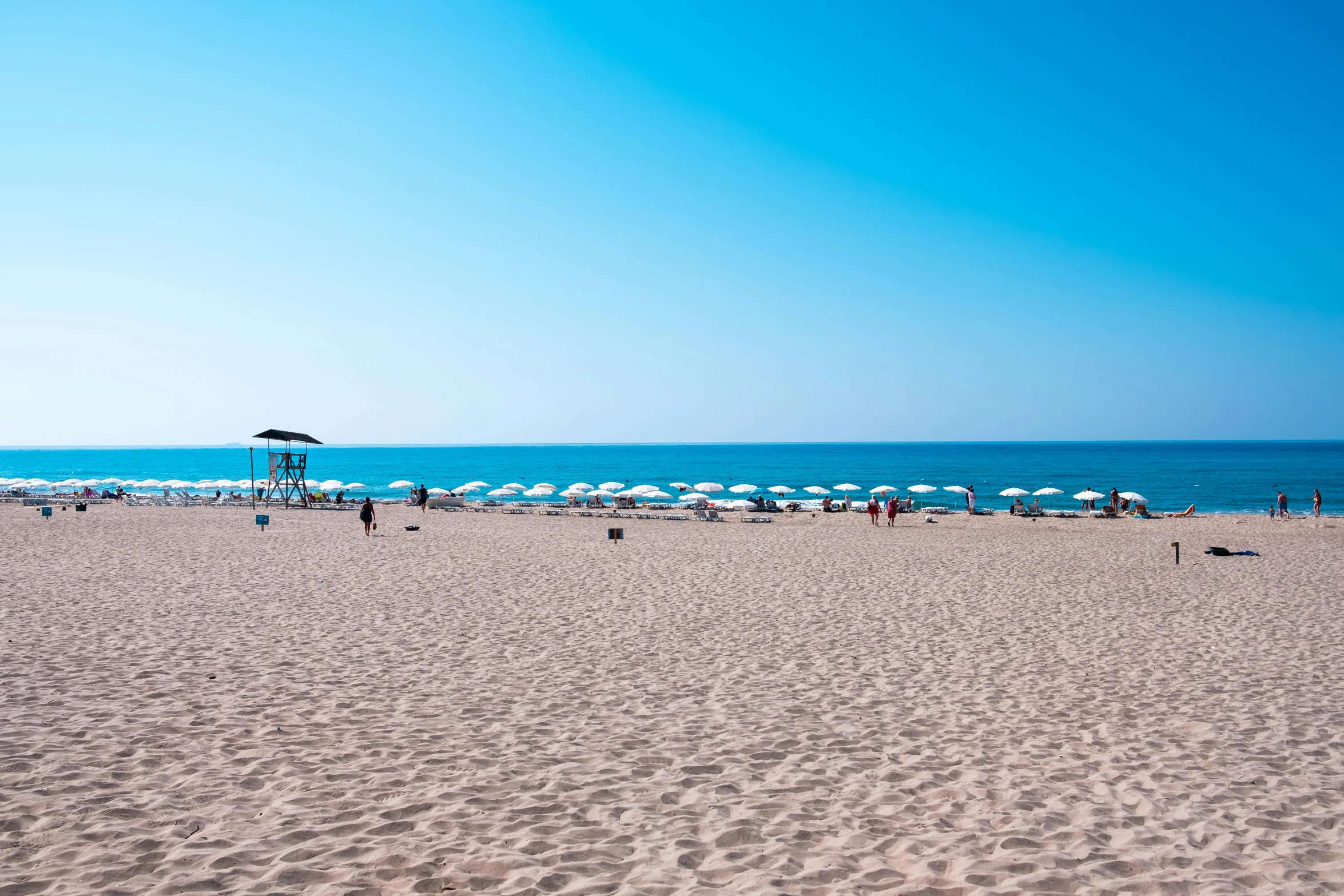 people with umbrellas on a beach by the water