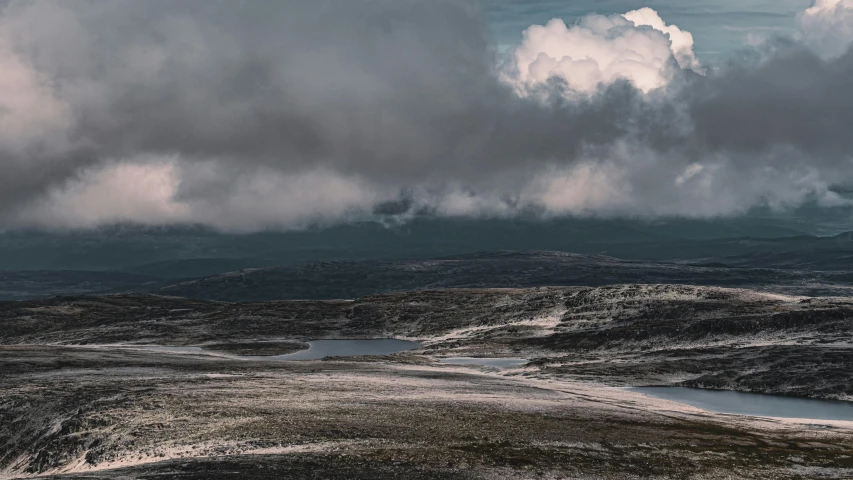 a lone horse is standing on a hill