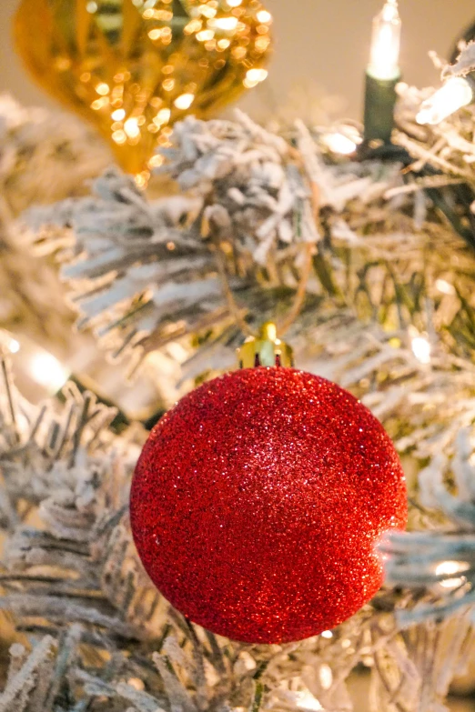 a red ornament hanging from a christmas tree