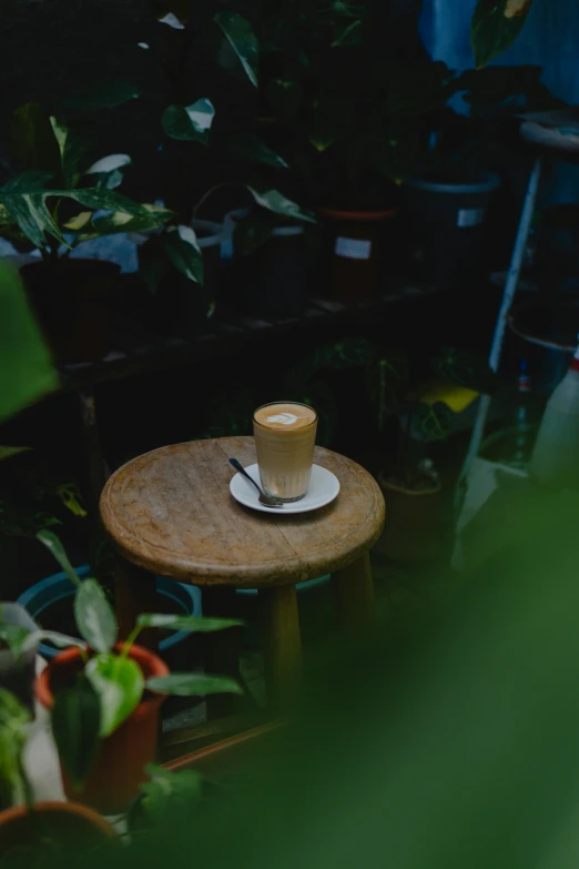 a cappuccino sits on an antique table surrounded by houseplants