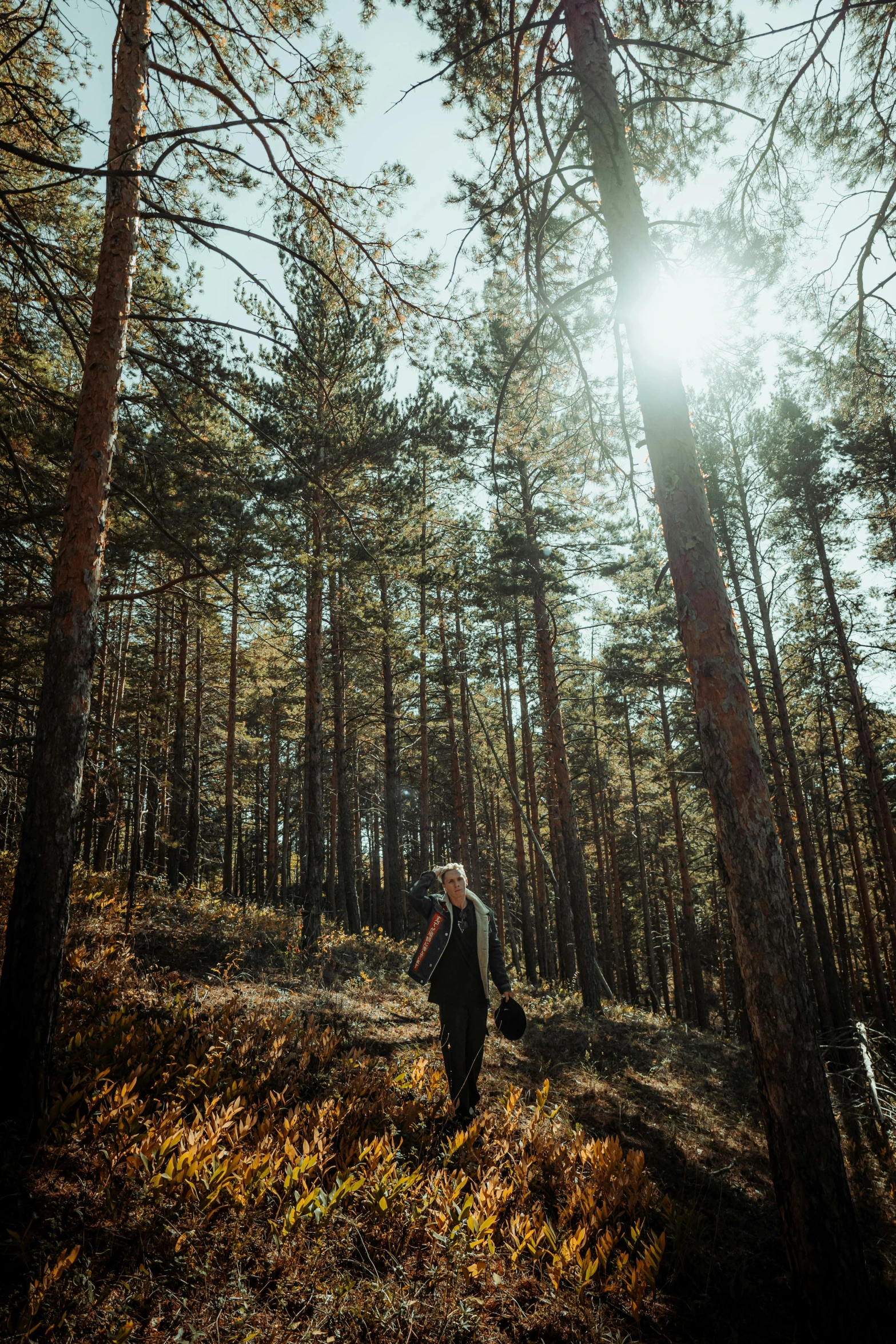 a man stands in the woods looking up at the sun