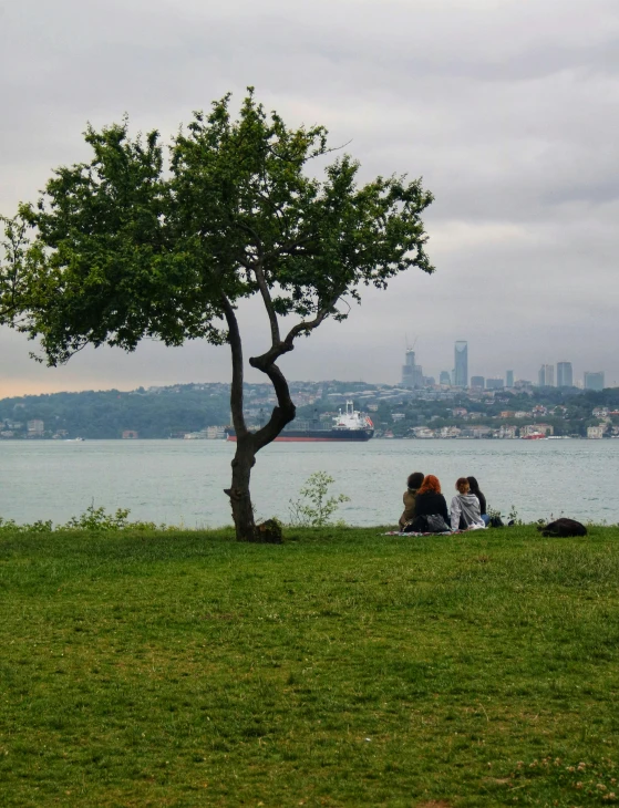 two people are sitting near a tree near a body of water