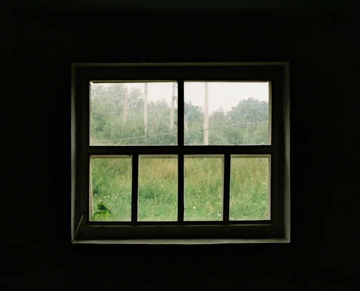 a view out a window to a field outside