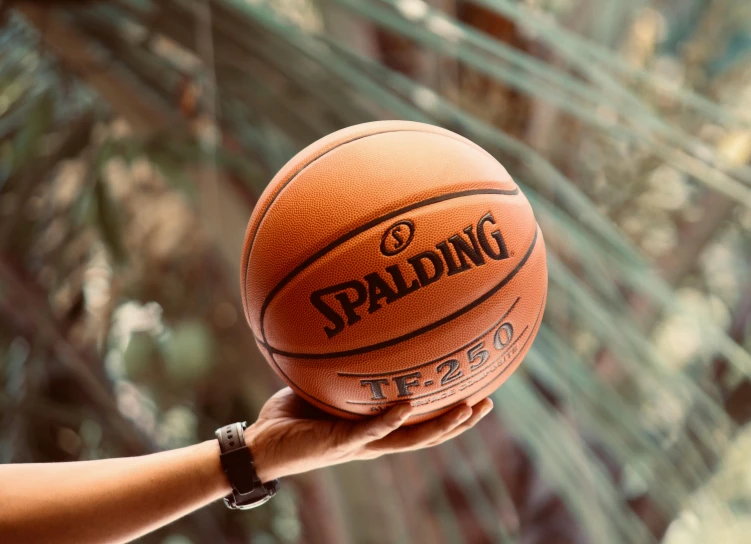 a person holds a basketball in their hand