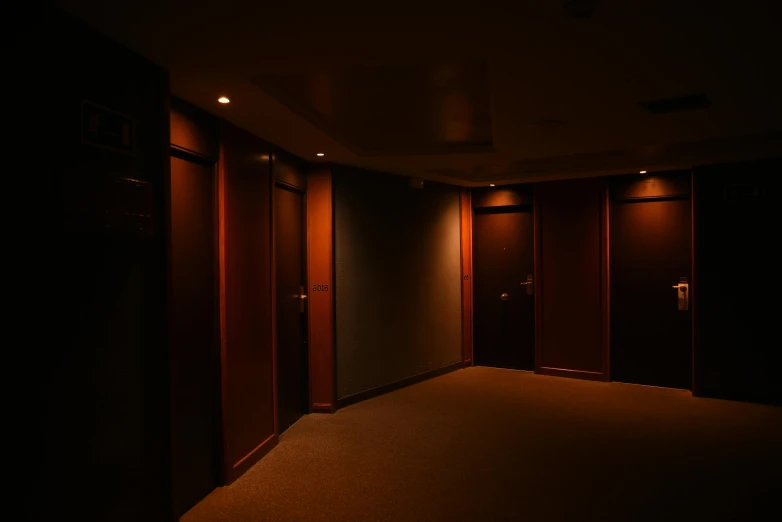 a empty room with elevators, dark lighting and a large rug