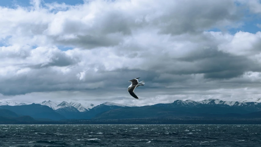 a bird flies high over the ocean on a cloudy day