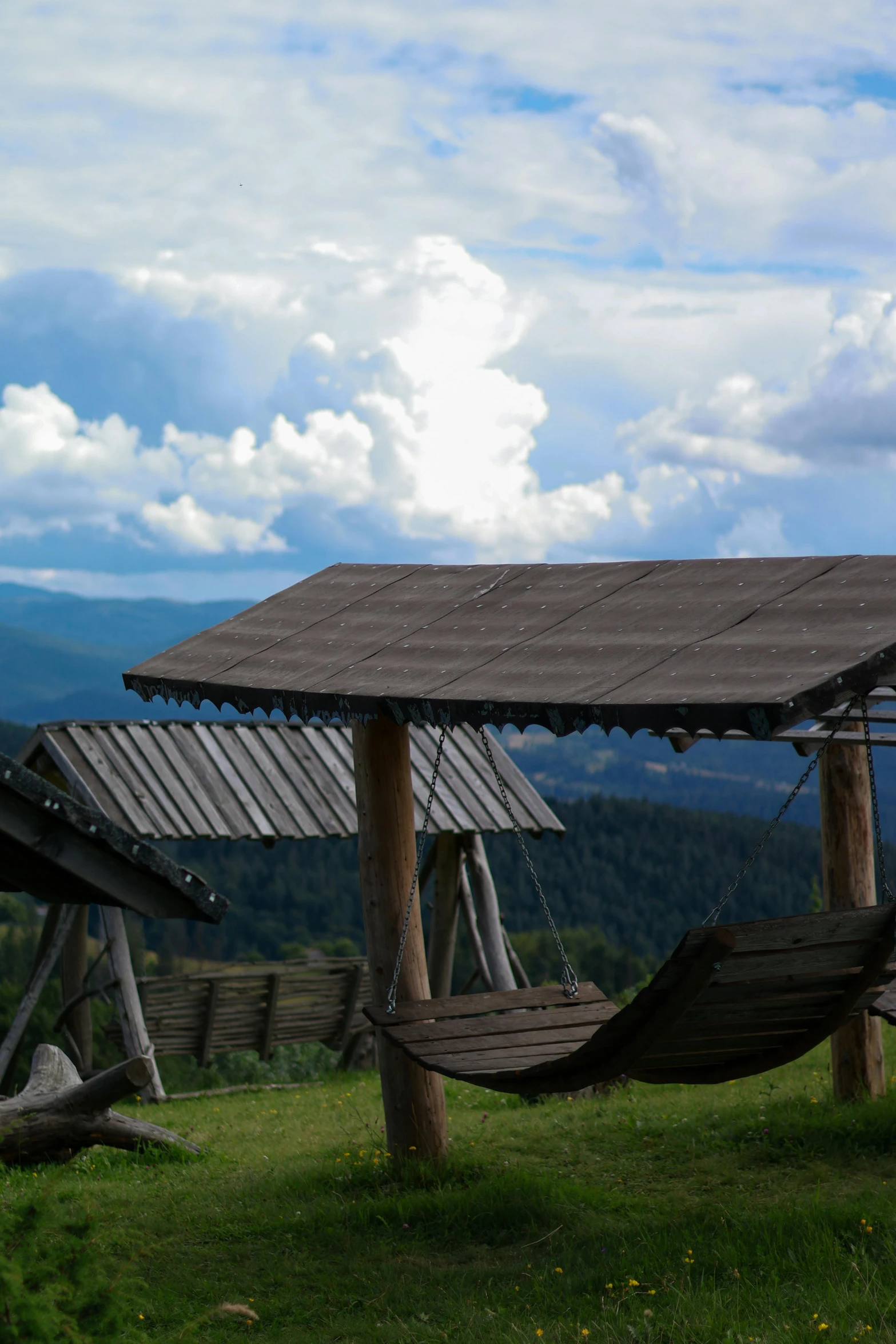 two hanging swings in a lush green field