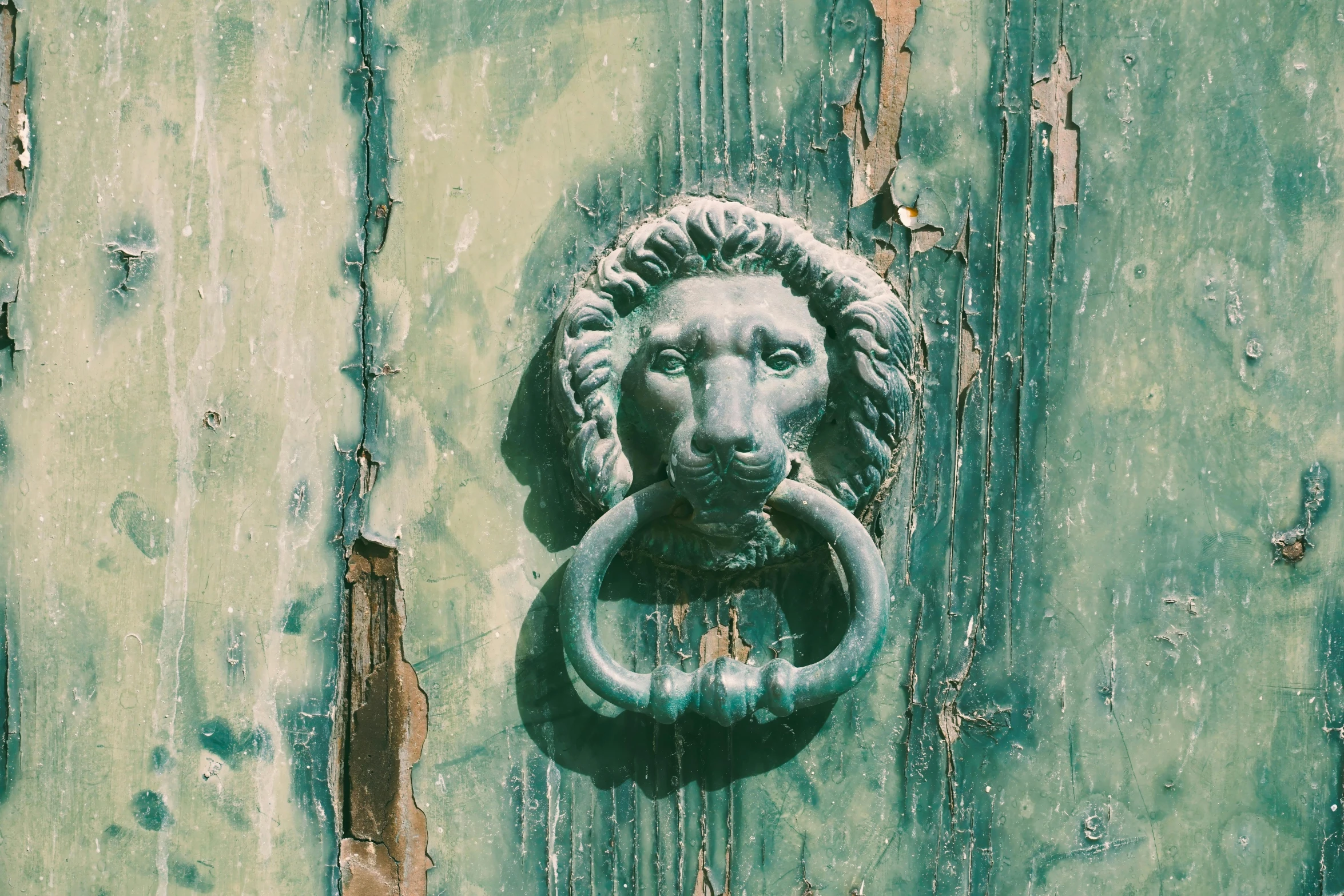 this door has an old, weathered door handle with a lion's head