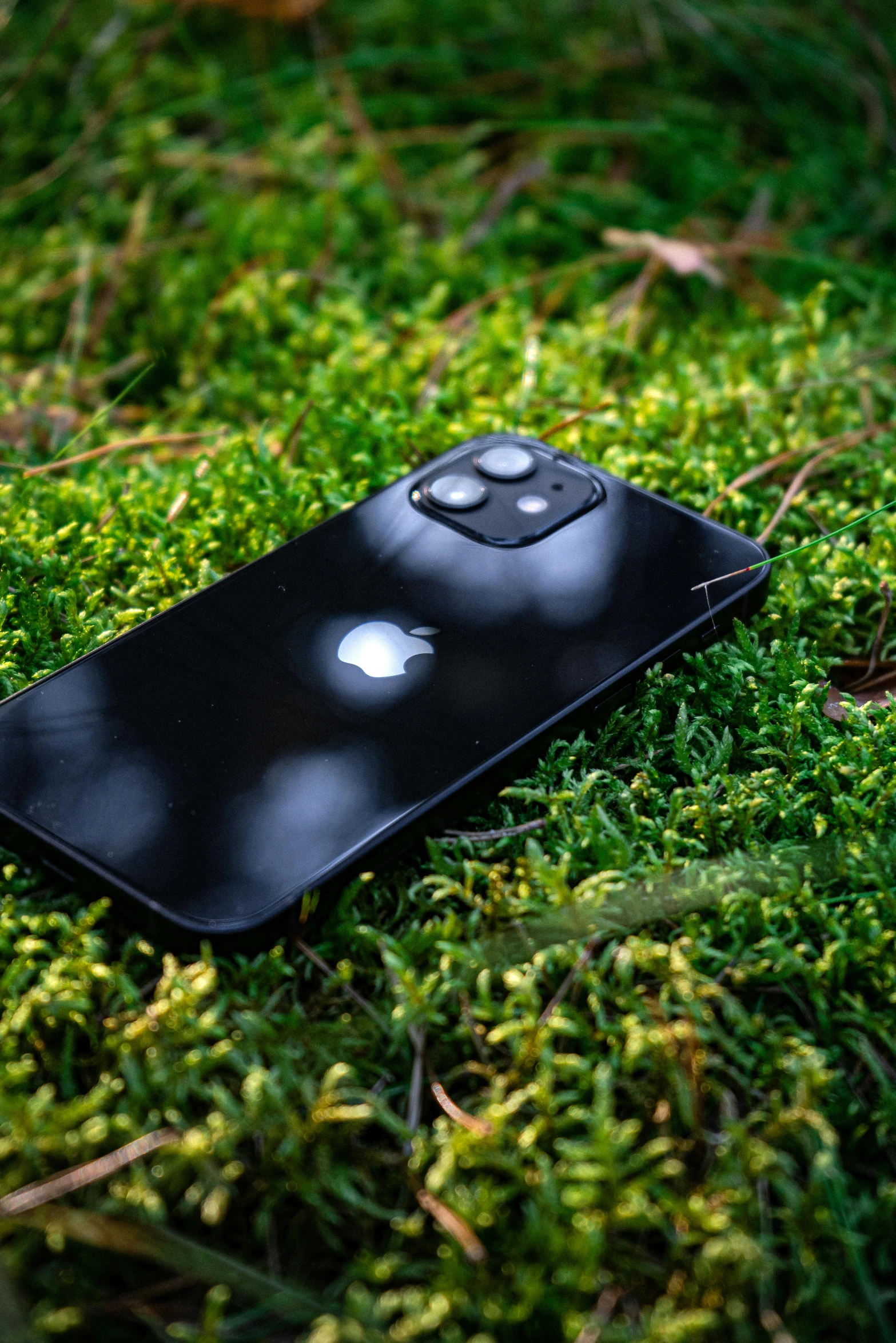 an iphone laying in the grass with eyes on it