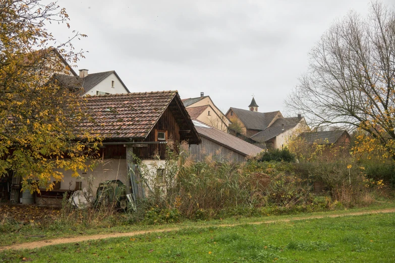 a house with a few bushes near by