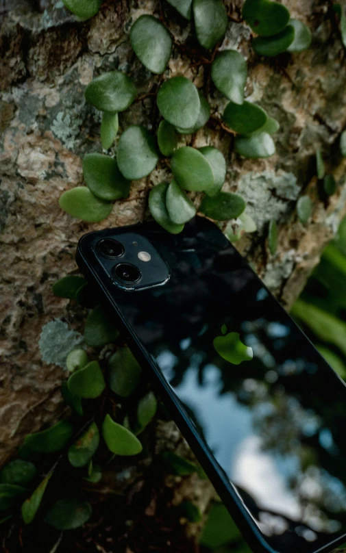 the back cover of a black phone lying on top of a tree