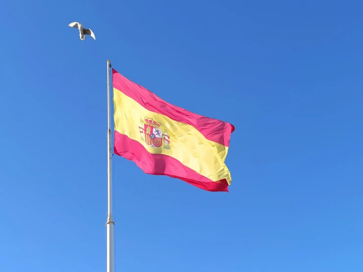 a bird is flying near a flag on a pole