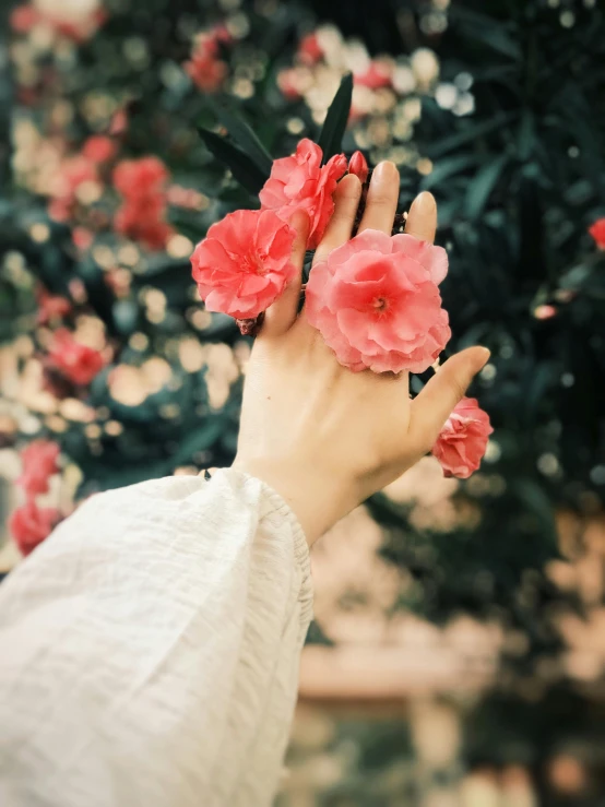 a person holds pink flowers in their hand