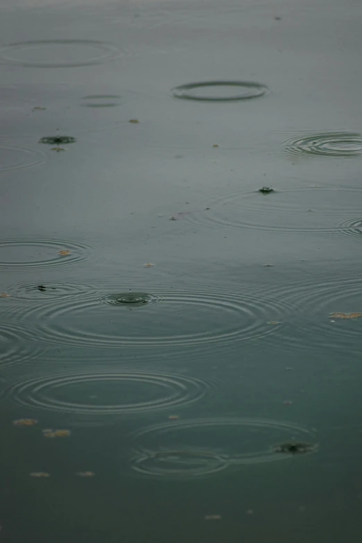 the rain is hitting the top of water