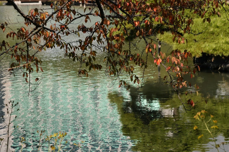 a large building is in the water under a tree