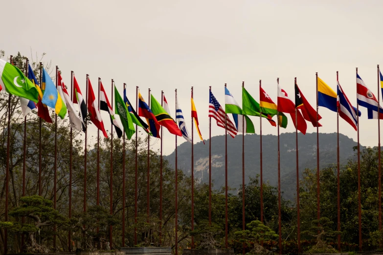 a lot of flags are in the field