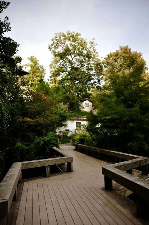 wooden benches on a deck surrounded by trees