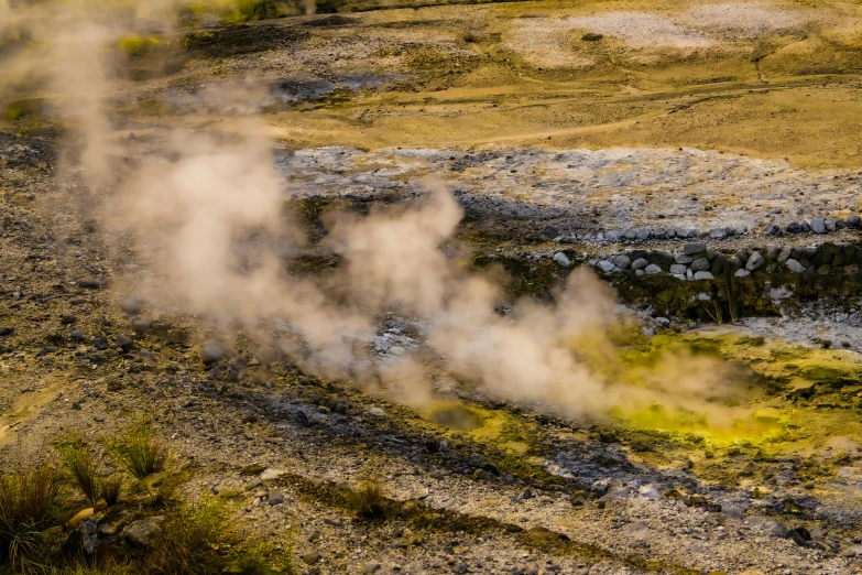 a steaming plant on a patch of land