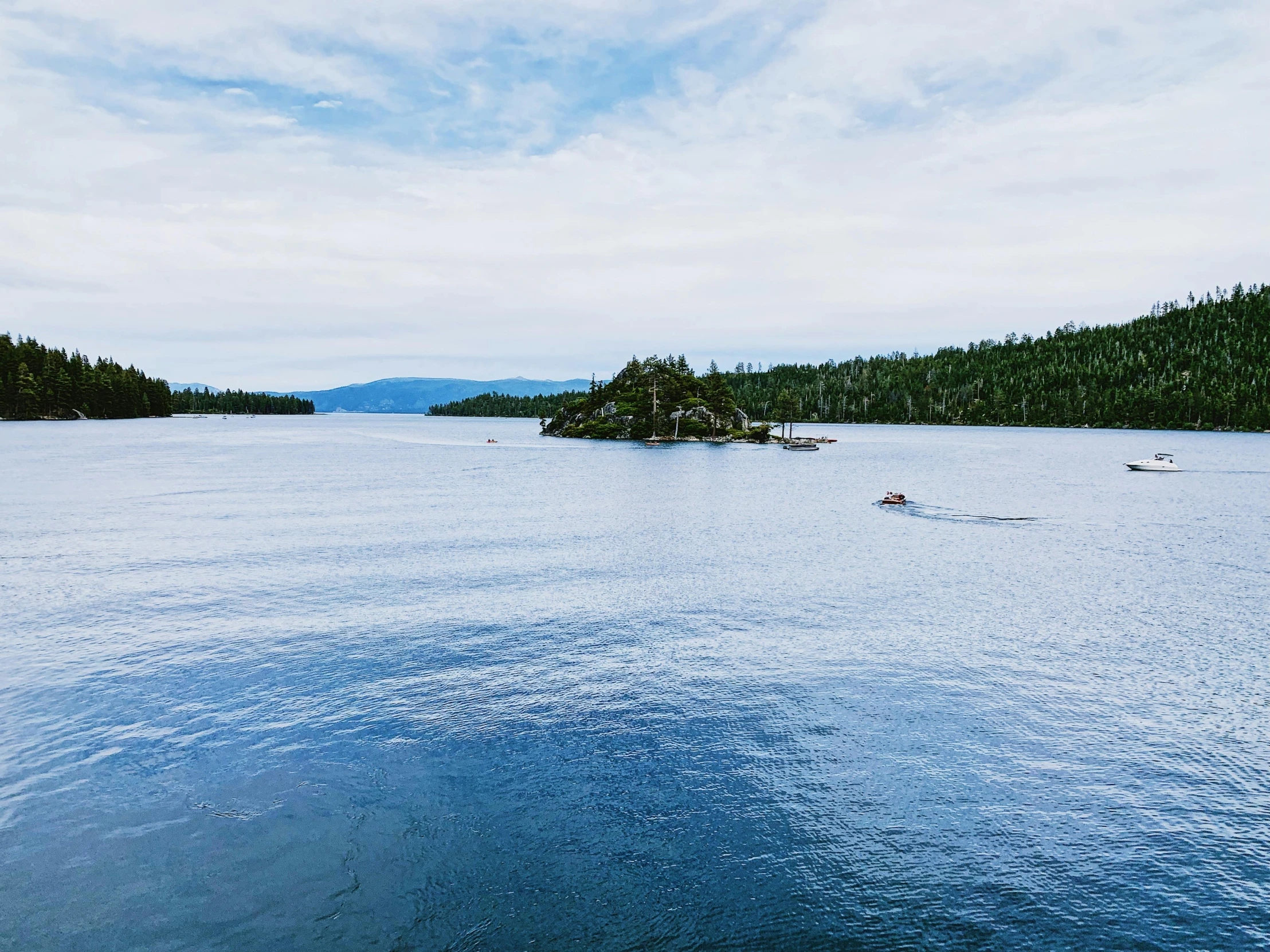 a large body of water surrounded by forest