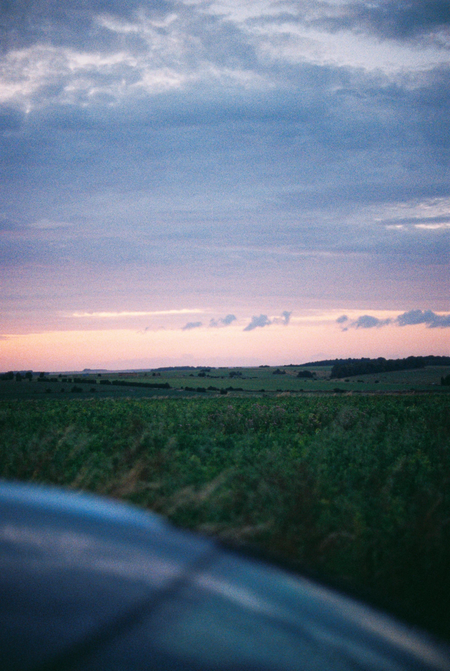 a blue car drives in the grass at dusk