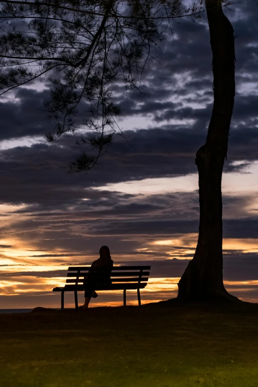 a person sitting on a bench with a tree in the foreground