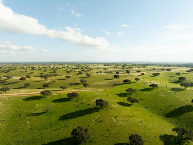 the landscape is beautiful and looks wonderful from a plane