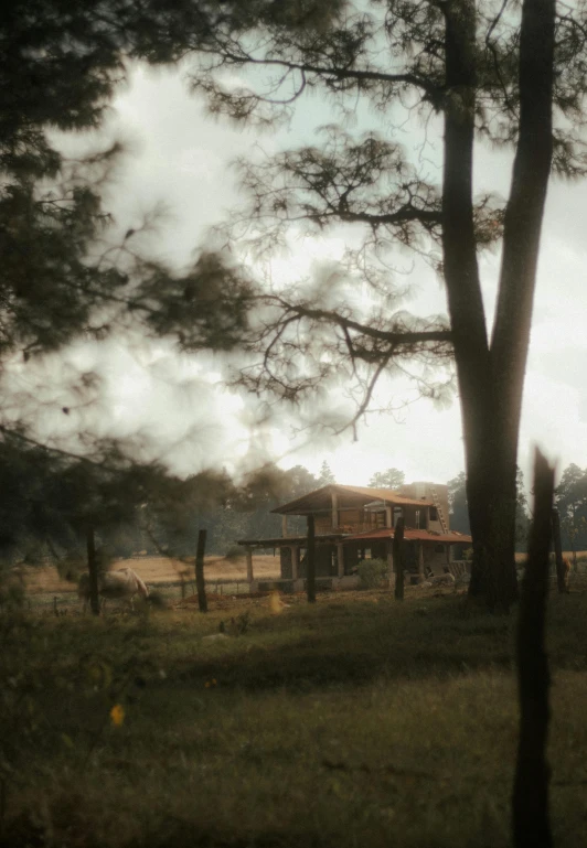 a big house sits next to trees near the woods