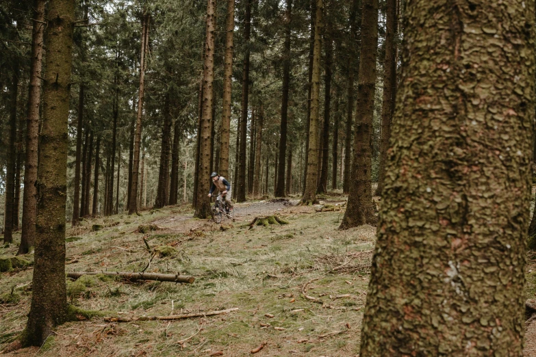 a man in a wooded area on a bike